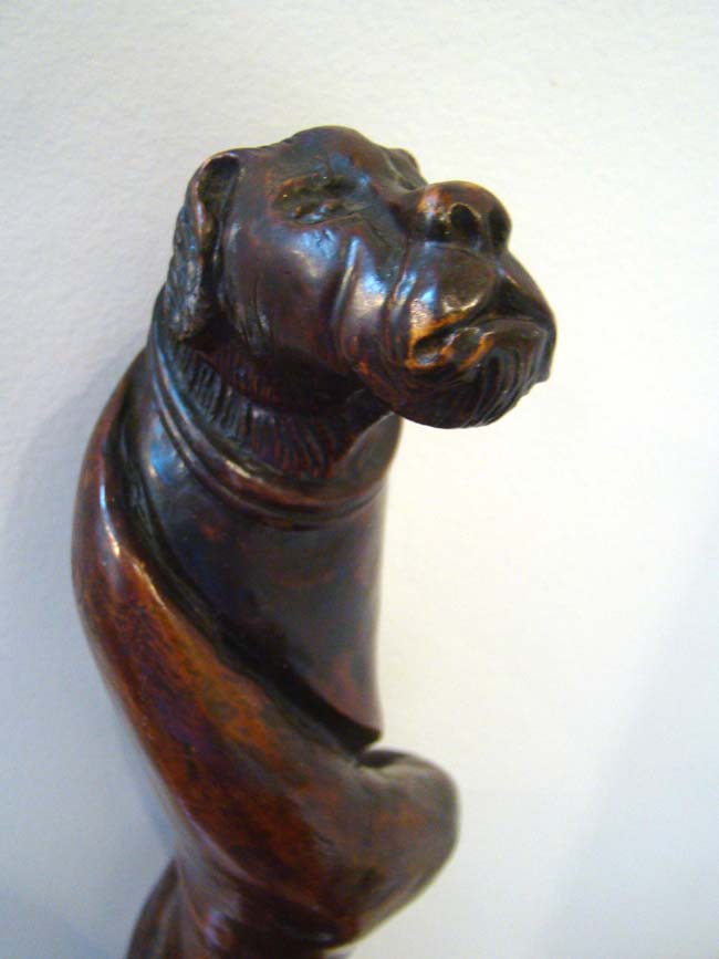 A fabulous 19th century carved walking stick with dog's head knob circa 1875